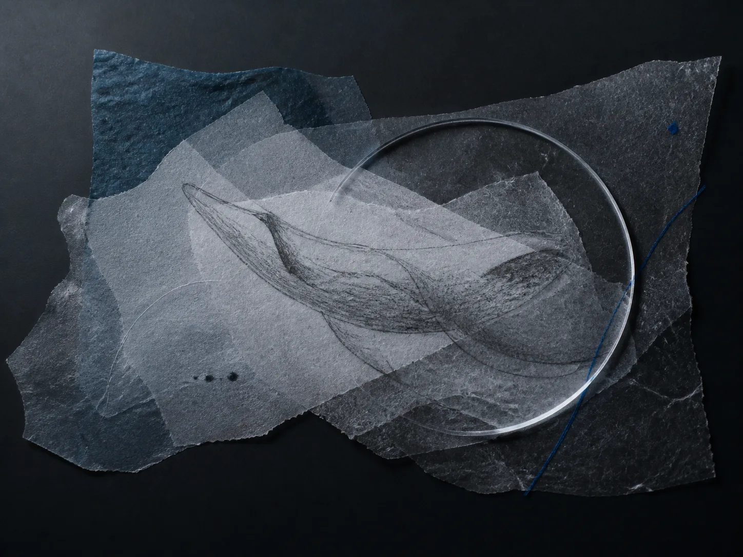Temporary abstract art direction for Witness. Final product media will replace this image.